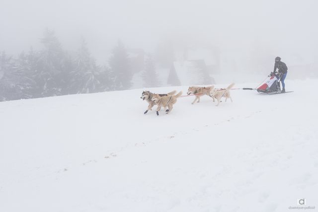 Vercors Quest